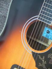 Epiphone FT120 Masterbilt Excellente VS Conversion_13