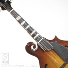 Eastman MD-615/GB【48回無金利対象品】_5