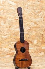da h Tenor 14f std Hawaiian Koa/Cocobolo_3