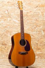 Blueridge BR-140 2014_3