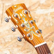 Blueridge BR-140 2014_4
