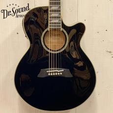 Takamine 『オーダー受付中』TSP178AC Custom ~Deep Dark Blue~ 【無金利分割OK】【送料は当社負担】