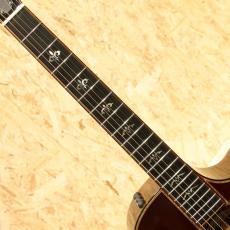 Taylor 912ce SB 2017_6