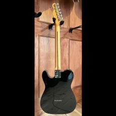 Fender Standard Telecaster_7