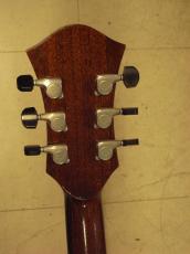 Rozeo Ladybug LA-CTM Mahogany_6