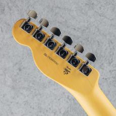 Fender American Professional Telecaster RW Natural【S/N US26039282】_9
