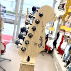 Fender Japan ST-STD_4