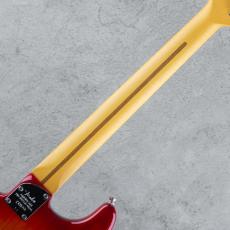 Fender American Professional Stratocaster MN Aged Cherry Burst【S/N US26047292】_7