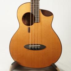 aNueNue MBS14E【USED】【ピックアップ搭載】