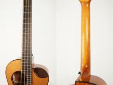 aNueNue MBS14E【USED】【ピックアップ搭載】_4