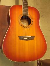 Washburn WD7