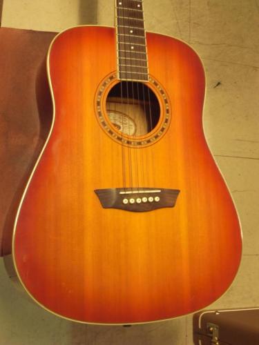 Washburn WD7