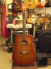 Washburn WD7_2