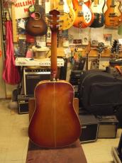Washburn WD7_3