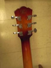 Washburn WD7_5