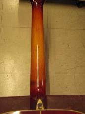 Washburn WD7_6