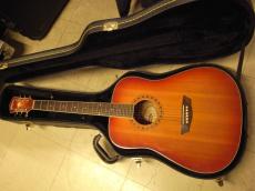 Washburn WD7_7