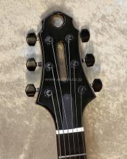 Jazz Guitar Designs Modern Master 17”_5