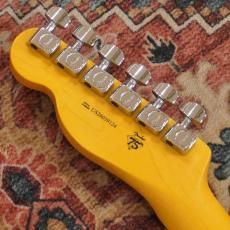 Fender American Professional Telecaster, Rosewood Fingerboard, Black_9