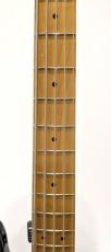 Fender American Professional Precision Bass V, Maple Fingerboard, 3-Color Sunburst_4
