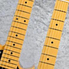 Fender 【新製品】American Professional Hot Shot Telecaster -Butterscotch Blonde- SN:US26059471 ≒3.48kg_3