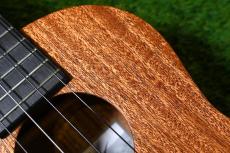 Millar TPA-E Tenor【S/N 071】_11