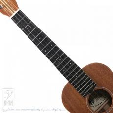 Lo Prinzi Ukuleles AM-T【15回無金利キャンペーン発動中!】_8