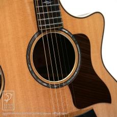 Taylor 814ce DLX V-Class_8