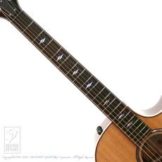 Taylor 814ce DLX V-Class_10