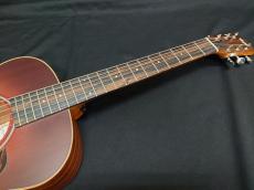 Taylor GS Mini-e Rosewood_5