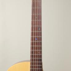 Martin GPC-X2E Cocobolo #3089396 ~X Series~【クロサワ本店店頭在庫品】_5