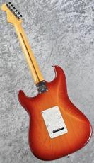 Fender 【新製品】American Professional Stratocaster Maple FB -Cherry Burst- SN:US26025530 ≒3.77kg_6