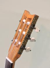 Louis Panormo 【ルイス・パノルモ】 オリジナル_2