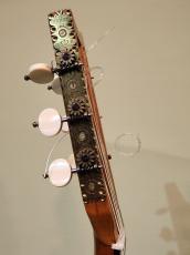 Louis Panormo 【ルイス・パノルモ】 オリジナル_9