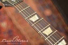 Gibson 2013 LPJ (Gold Top)_6