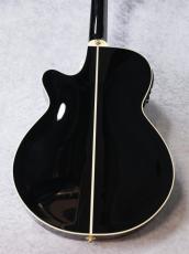 Takamine TSP100 KT-N  #63050313【薄型ボディー】【ナット幅42mm】_2
