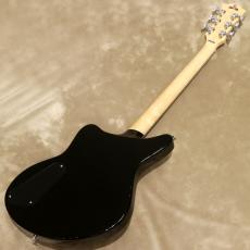 D'Angelico Premier Series Premier Bedford SH Black Flake_3