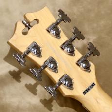 D'Angelico Premier Series Premier Bedford SH Black Flake_5