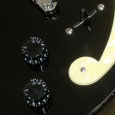 D'Angelico Premier Series Premier Bedford SH Black Flake_8