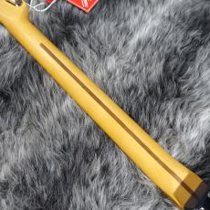 Fender American Professional Classic Telecaster Faded Black_7