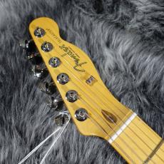 Fender American Professional Classic Telecaster Butterscotch Blonde_4