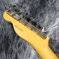 Fender American Professional Classic Telecaster Butterscotch Blonde_8