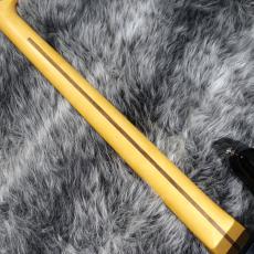 Fender American Professional Classic Precision Bass 3-Color Sunburst_7