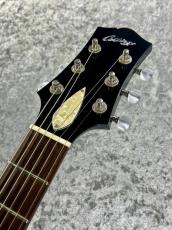Collings 【秋の中古楽器セール】290 -Doghair 【2007'sUSED】【美品中古】_3