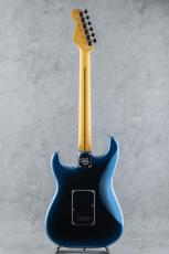 Fender American Professional Stratocaster MN Dark Night【S/N US26047470】_5