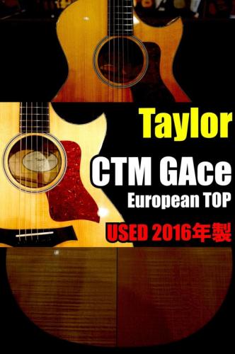 Taylor 【個体演奏動画あり】Custom GAce -Europian Top- '16年製【USED】【カスタムモデル】