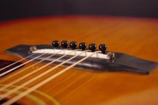 Gibson J-45 CHSB 1964_9