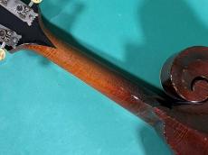 Gibson F-2_8