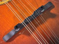 Gibson F-2_10