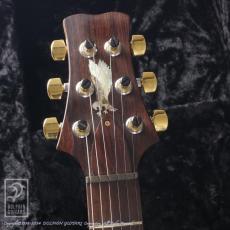 Paul Reed Smith Guitars Santana Brazilian Neck Limited 10Top_5